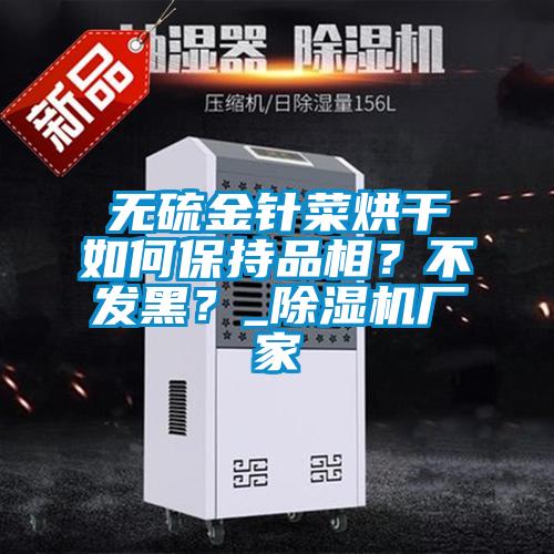 無硫金針菜烘干如何保持品相？不發(fā)黑？_除濕機廠家