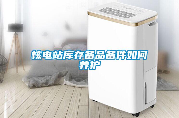核電站庫存?zhèn)淦穫浼绾勿B(yǎng)護