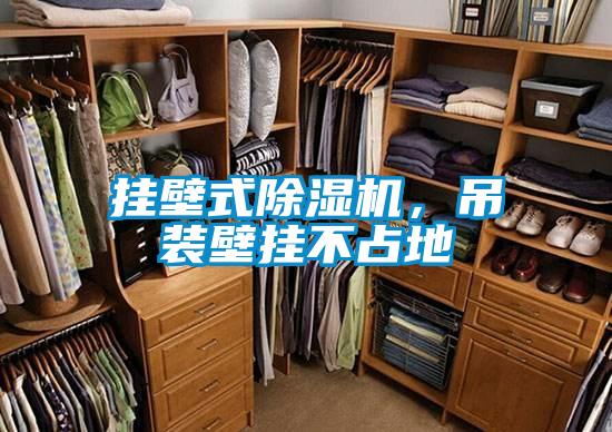 掛壁式除濕機(jī)，吊裝壁掛不占地