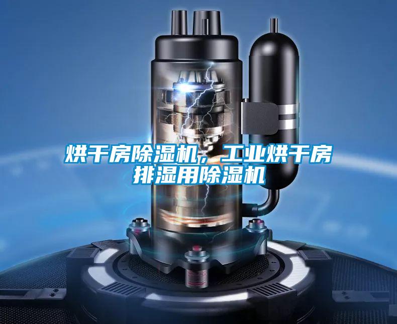 烘干房除濕機(jī)，工業(yè)烘干房排濕用除濕機(jī)