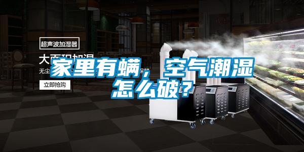 家里有螨，空氣潮濕怎么破？