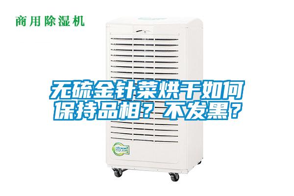 無硫金針菜烘干如何保持品相？不發(fā)黑？