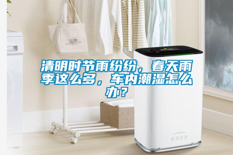 清明時(shí)節(jié)雨紛紛，春天雨季這么多，車內(nèi)潮濕怎么辦？