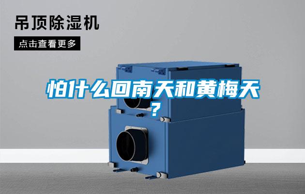怕什么回南天和黃梅天？