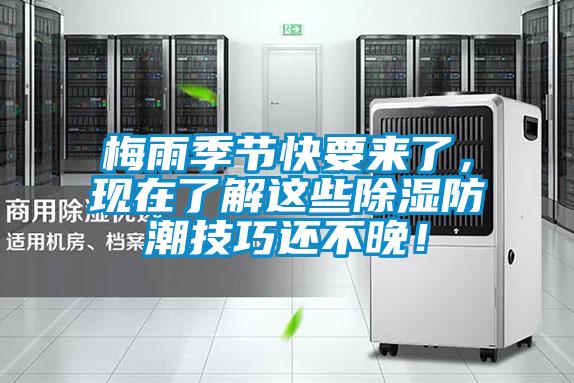 梅雨季節(jié)快要來了，現(xiàn)在了解這些除濕防潮技巧還不晚！