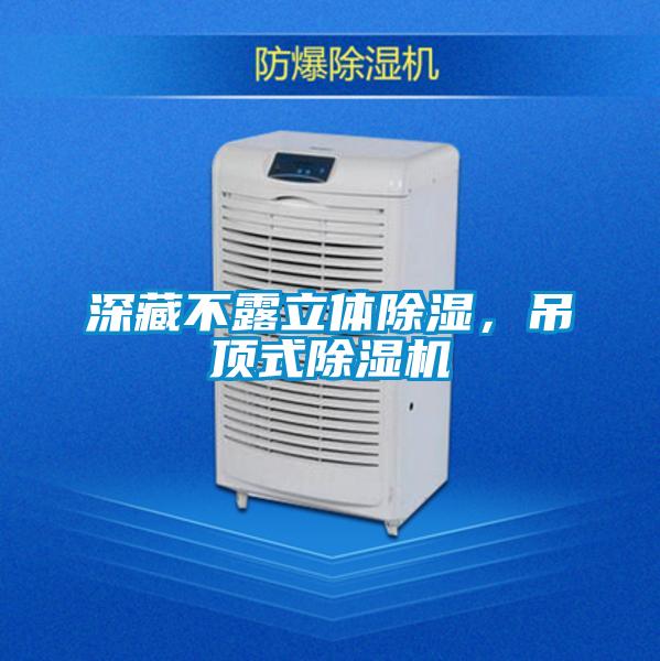 深藏不露立體除濕，吊頂式除濕機(jī)