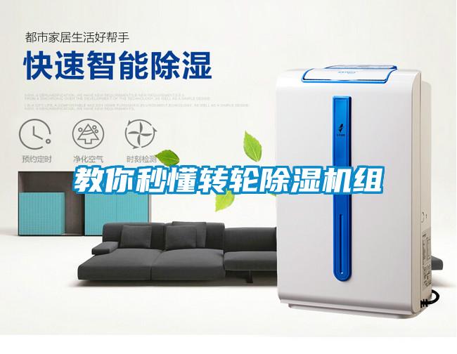 教你秒懂轉(zhuǎn)輪除濕機(jī)組