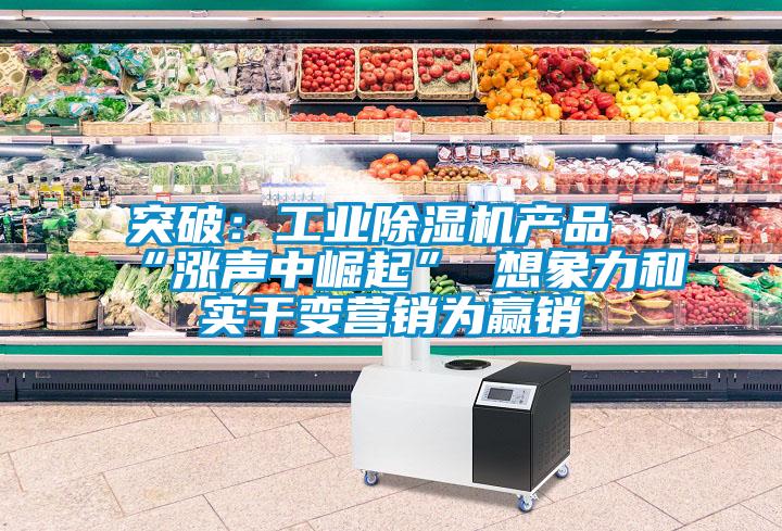 突破:工業(yè)除濕機產(chǎn)品“漲聲中崛起” 想象力和實干變營銷為贏銷