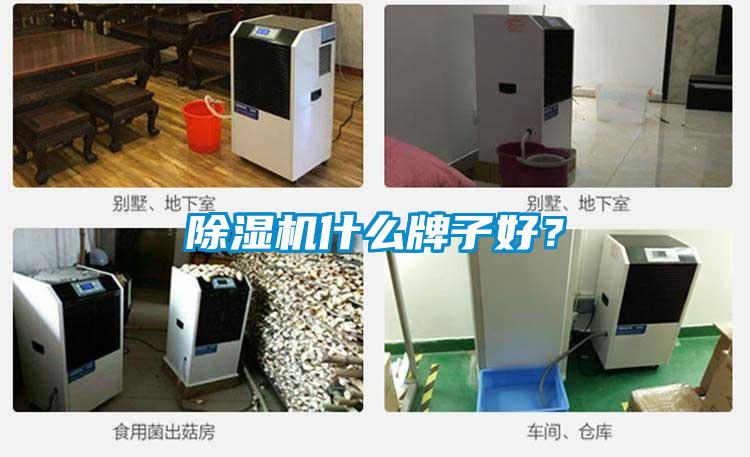 除濕機(jī)什么牌子好？