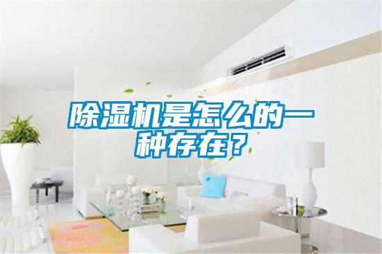 除濕機(jī)是怎么的一種存在？