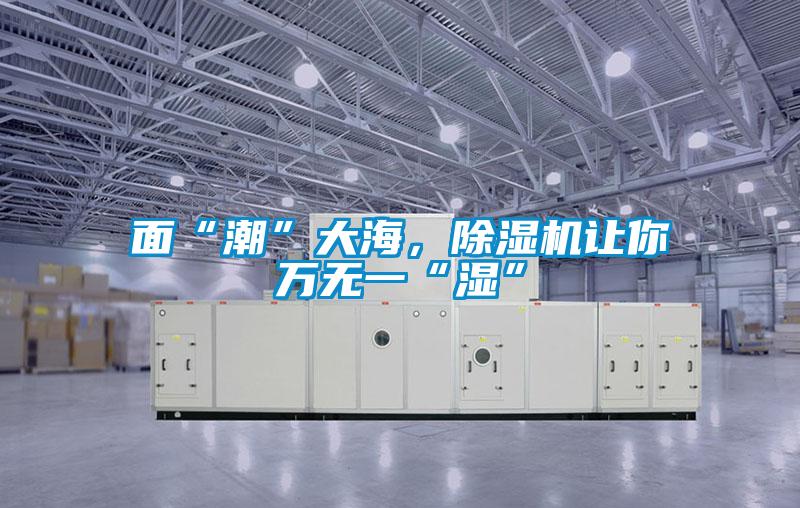 面“潮”大海，除濕機(jī)讓你萬無一“濕”