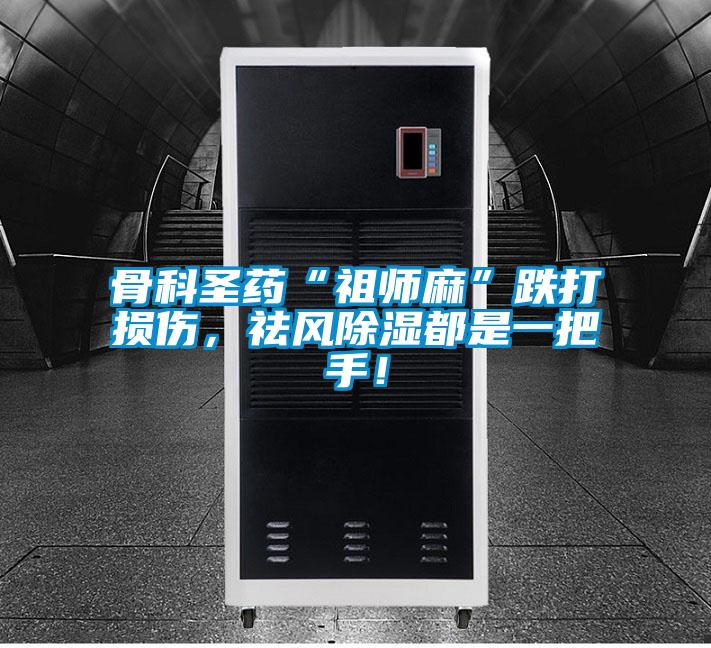 骨科圣藥“祖師麻”跌打損傷，祛風(fēng)除濕都是一把手！