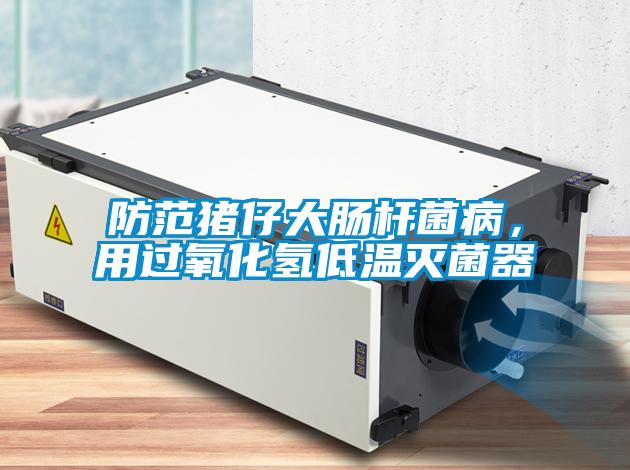 防范豬仔大腸桿菌病，用過(guò)氧化氫低溫滅菌器