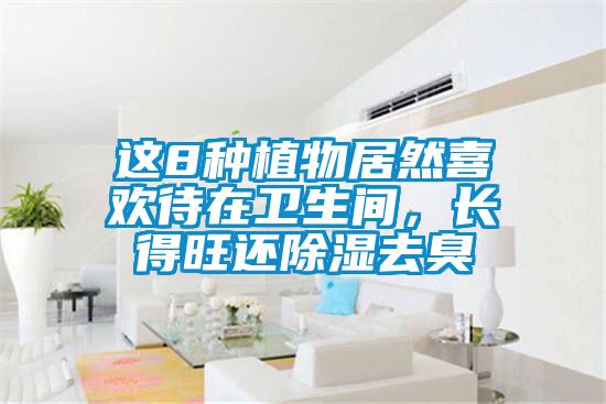 這8種植物居然喜歡待在衛(wèi)生間，長得旺還除濕去臭