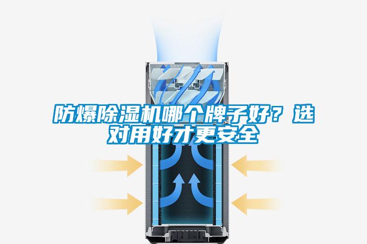 防爆除濕機(jī)哪個牌子好?選對用好才更安全