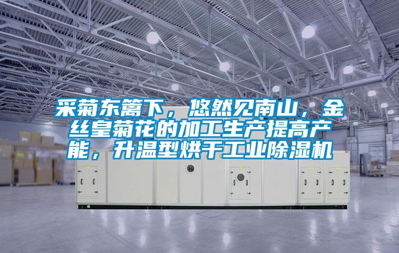 采菊東籬下，悠然見(jiàn)南山，金絲皇菊花的加工生產(chǎn)提高產(chǎn)能，升溫型烘干工業(yè)除濕機(jī)