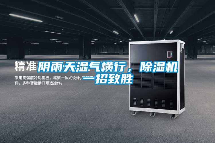 陰雨天濕氣橫行，除濕機一招致勝