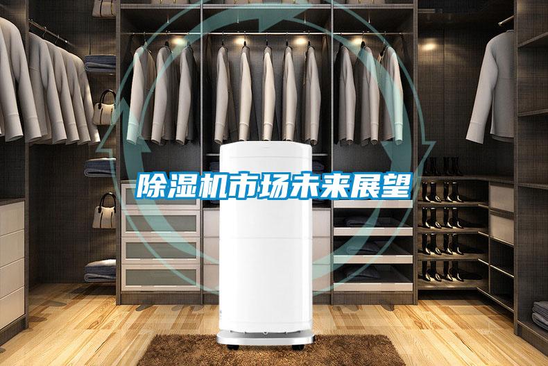 除濕機(jī)市場未來展望