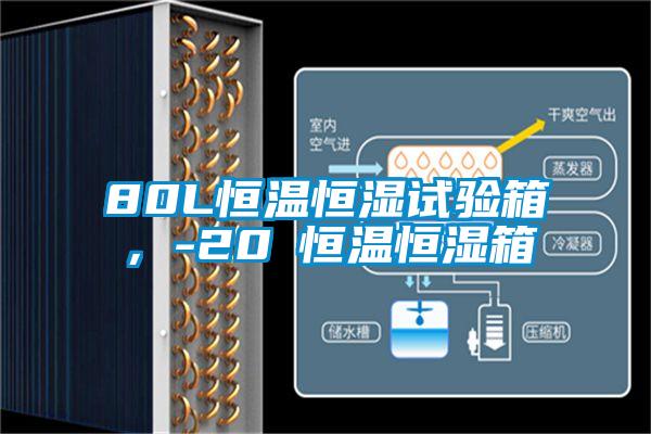 80L恒溫恒濕試驗(yàn)箱，-20℃恒溫恒濕箱