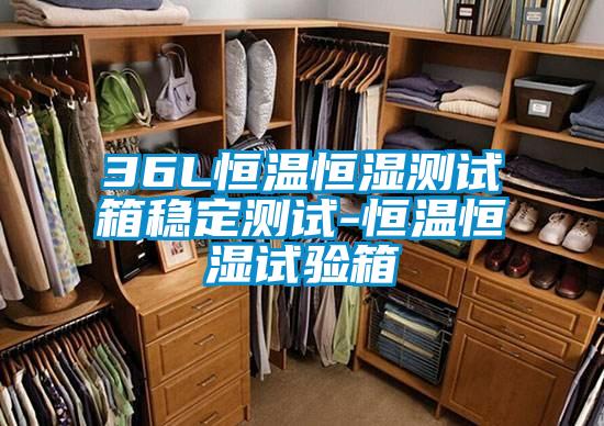 36L恒溫恒濕測(cè)試箱穩(wěn)定測(cè)試-恒溫恒濕試驗(yàn)箱