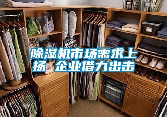 除濕機(jī)市場需求上揚(yáng) 企業(yè)借力出擊
