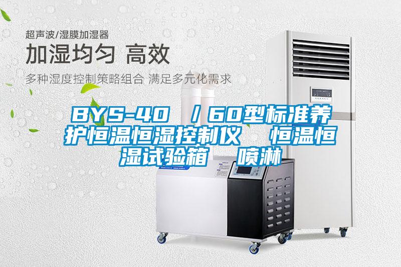 BYS-40 /60型標(biāo)準(zhǔn)養(yǎng)護恒溫恒濕控制儀 恒溫恒濕試驗箱 噴淋