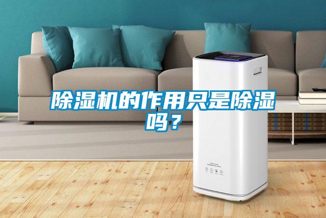 除濕機的作用只是除濕嗎？