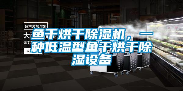 魚干烘干除濕機(jī)，一種低溫型魚干烘干除濕設(shè)備