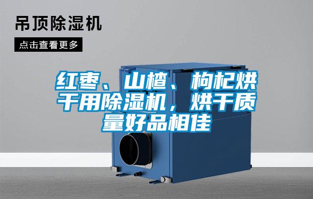 紅棗、山楂、枸杞烘干用除濕機(jī)，烘干質(zhì)量好品相佳