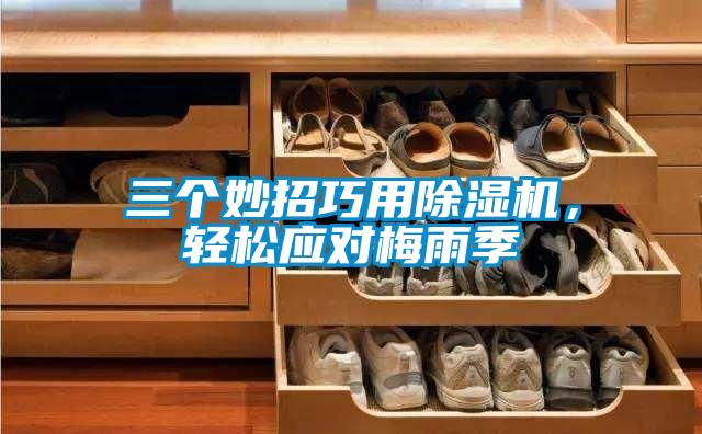 三個妙招巧用除濕機，輕松應對梅雨季