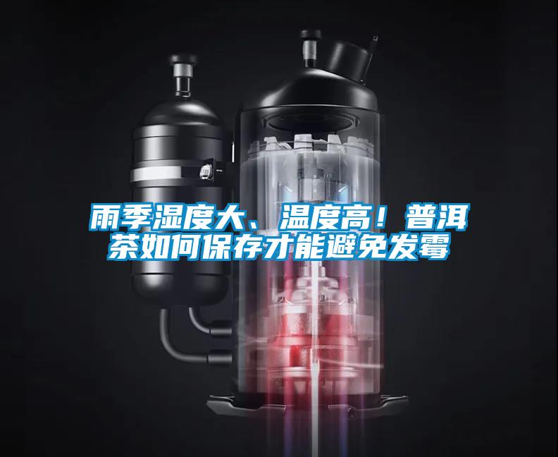 雨季濕度大、溫度高！普洱茶如何保存才能避免發(fā)霉