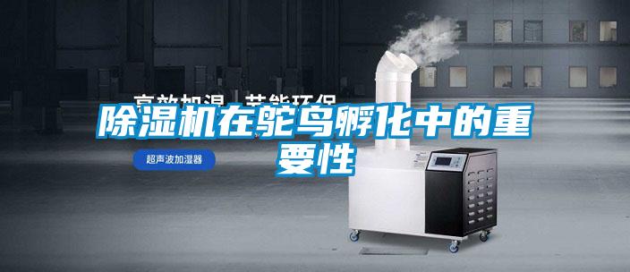 除濕機在鴕鳥孵化中的重要性