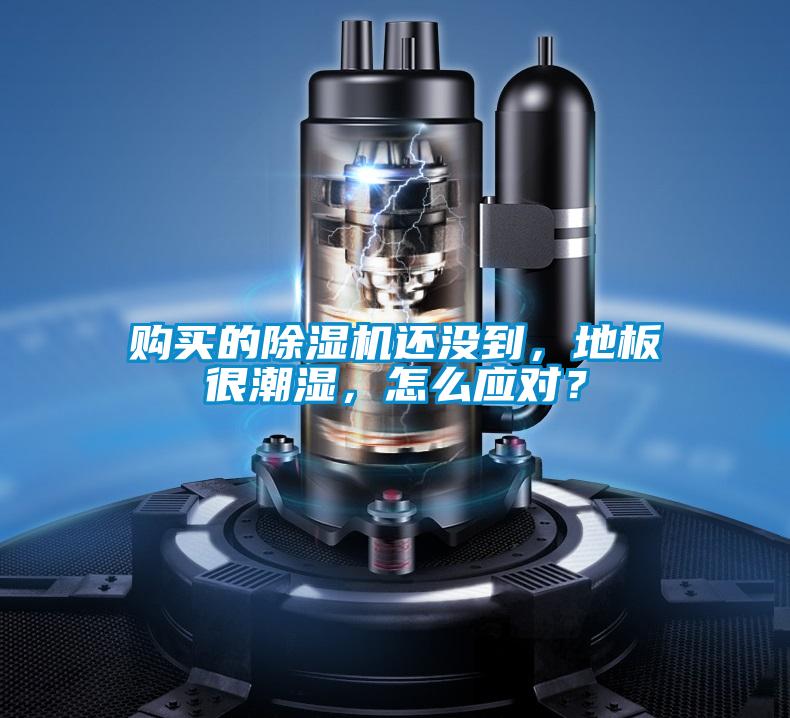 購買的除濕機(jī)還沒到，地板很潮濕，怎么應(yīng)對(duì)？