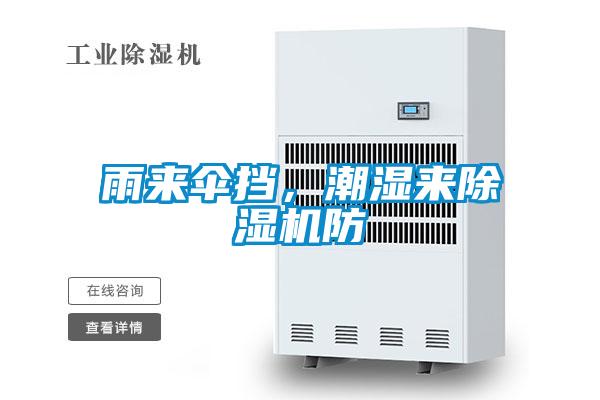 雨來傘擋，潮濕來除濕機防