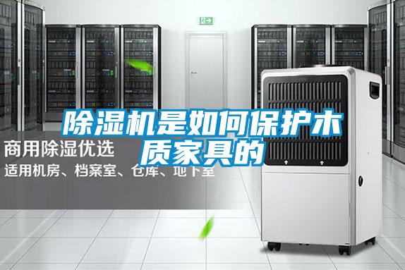 除濕機(jī)是如何保護(hù)木質(zhì)家具的