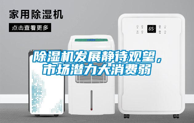 除濕機發(fā)展靜待觀望，市場潛力大消費弱