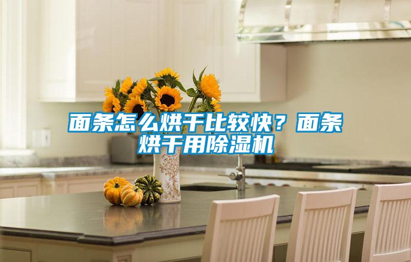 面條怎么烘干比較快？面條烘干用除濕機(jī)