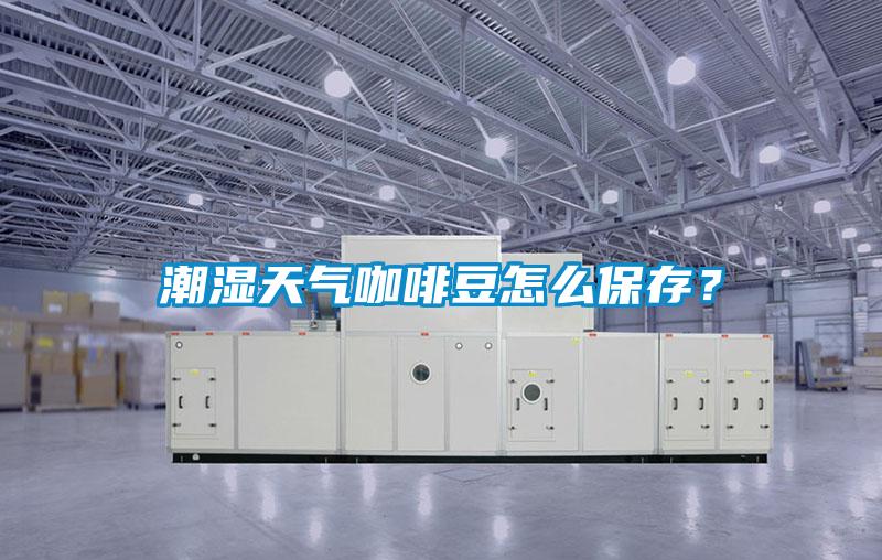 潮濕天氣咖啡豆怎么保存？
