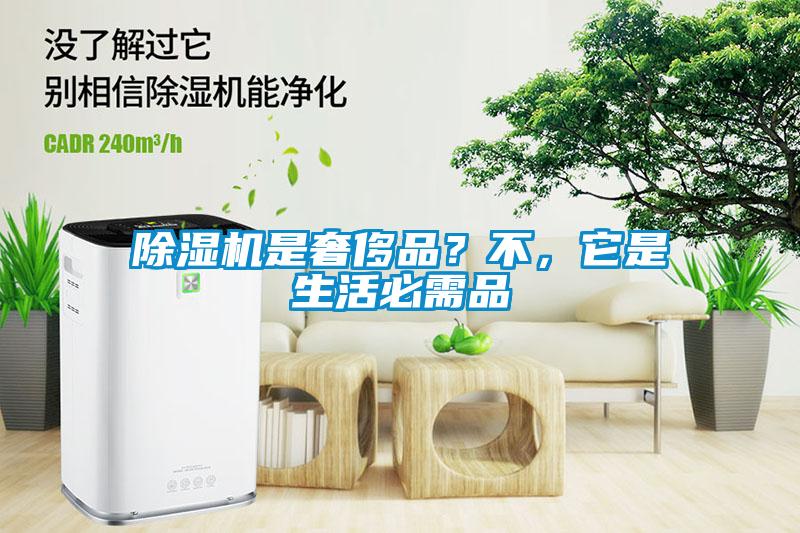 除濕機(jī)是奢侈品？不，它是生活必需品