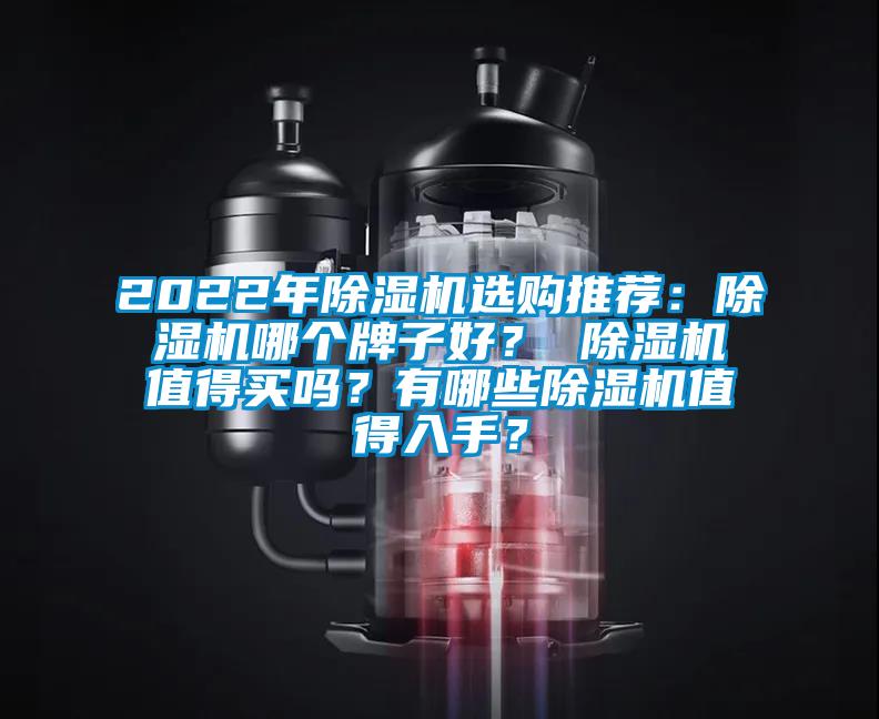2022年除濕機(jī)選購(gòu)?fù)扑]：除濕機(jī)哪個(gè)牌子好？ 除濕機(jī)值得買嗎？有哪些除濕機(jī)值得入手？