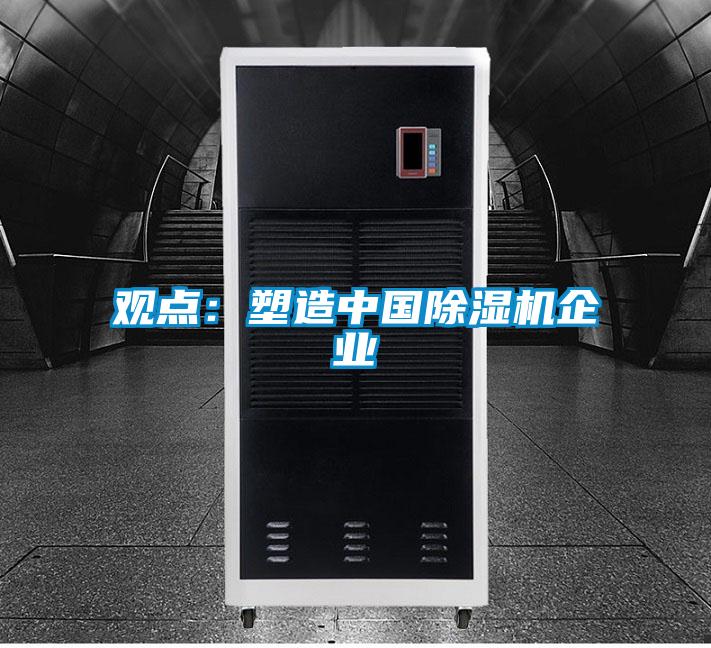 觀點(diǎn)：塑造中國(guó)除濕機(jī)企業(yè)
