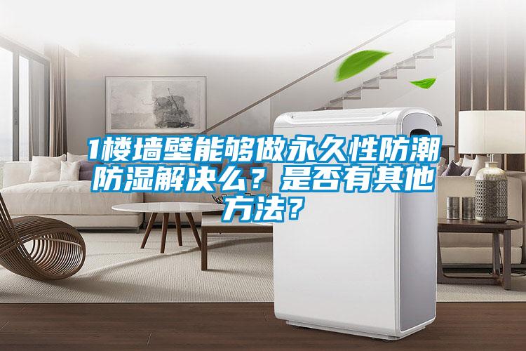 1樓墻壁能夠做永久性防潮防濕解決么？是否有其他方法？