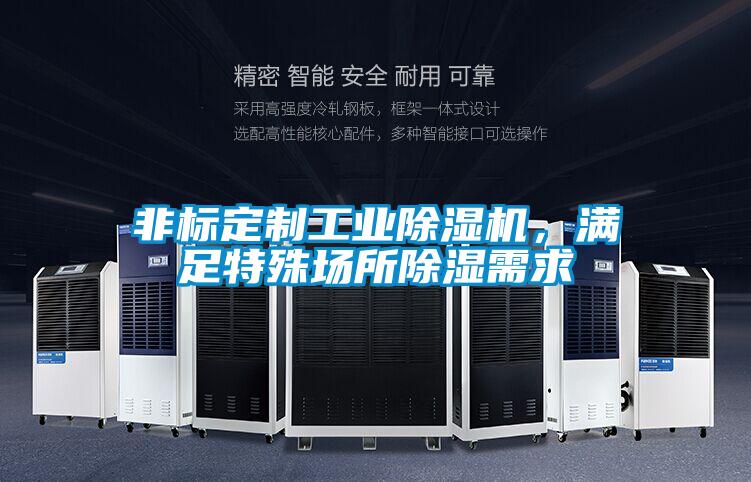 非標(biāo)定制工業(yè)除濕機,滿足特殊場所除濕需求