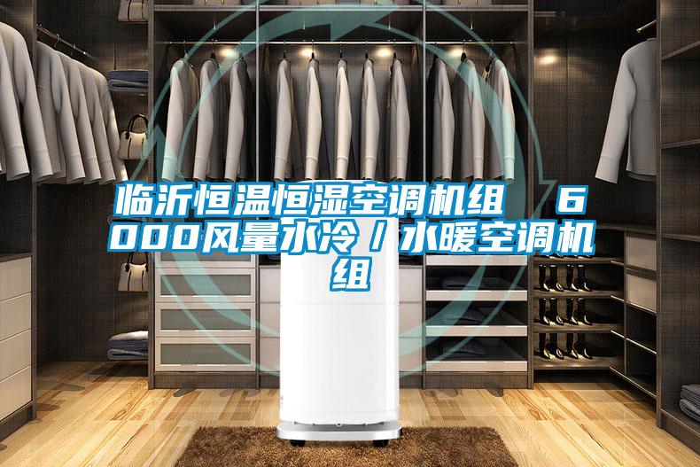 臨沂恒溫恒濕空調機組 6000風量水冷/水暖空調機組