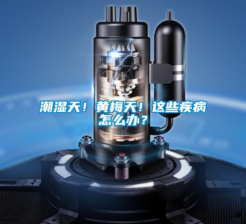 潮濕天！黃梅天！這些疾病怎么辦？