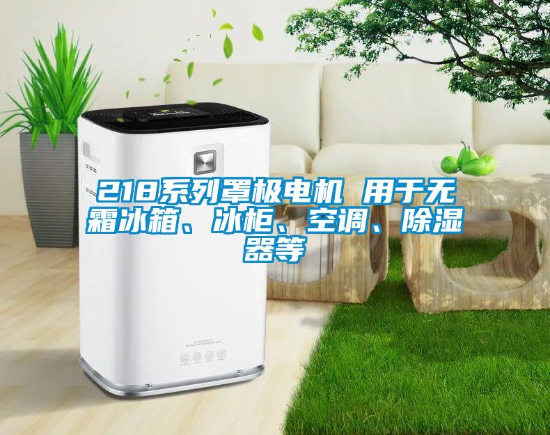 218系列罩極電機(jī) 用于無(wú)霜冰箱、冰柜、空調(diào)、除濕器等