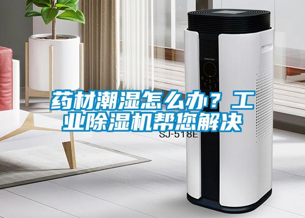 藥材潮濕怎么辦？工業(yè)除濕機幫您解決