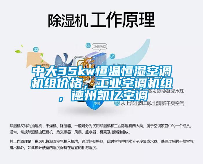 中大35kw恒溫恒濕空調(diào)機組價格，工業(yè)空調(diào)機組，德州凱億空調(diào)