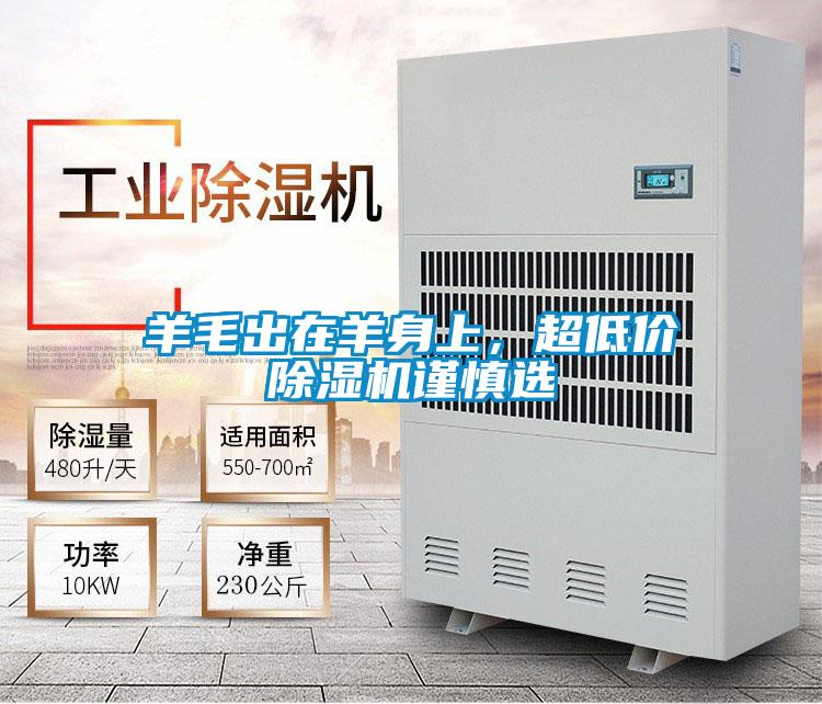 羊毛出在羊身上，超低價除濕機謹慎選