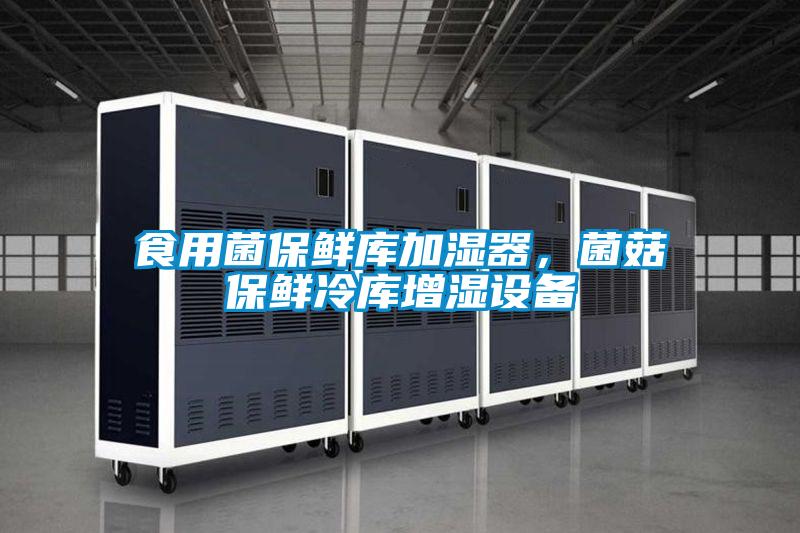 食用菌保鮮庫加濕器，菌菇保鮮冷庫增濕設(shè)備